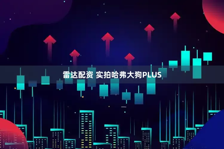 雷达配资 实拍哈弗大狗PLUS